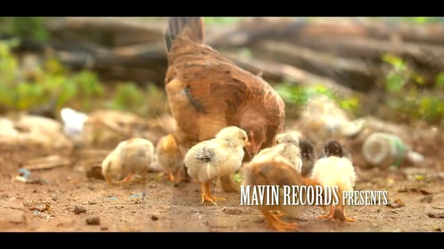 Mavins Ft. Don Jazzy, Reekado Banks, Di’ja, Korede Bello – Adaobi