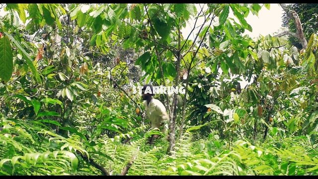 KAREYCE FOTSO – AZANY