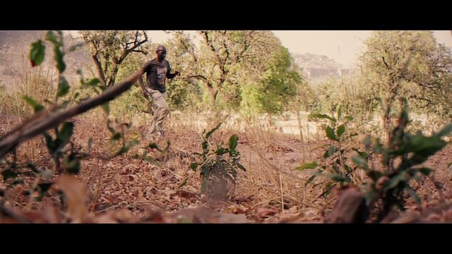 Tiken Jah Fakoly – Politiqui
