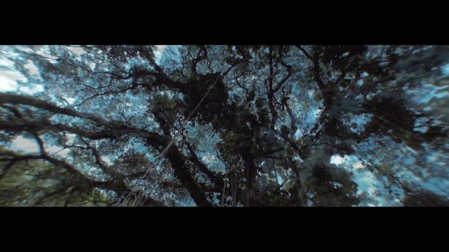 Daphne Ft. Ben Decca – Ndolo