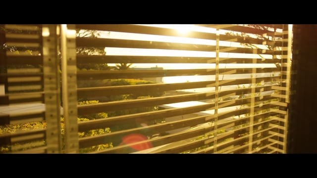 Stogie T – Diamond walk/Big dreams