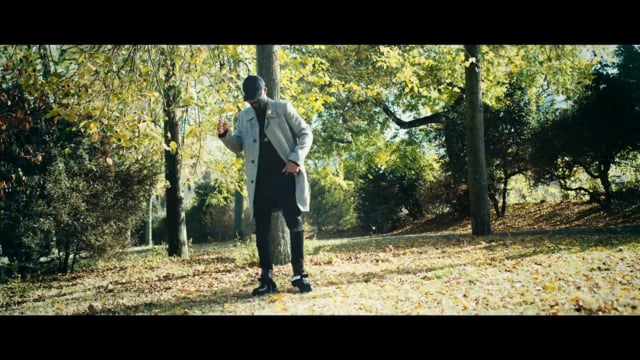 Fally Ipupa – Aime-moi