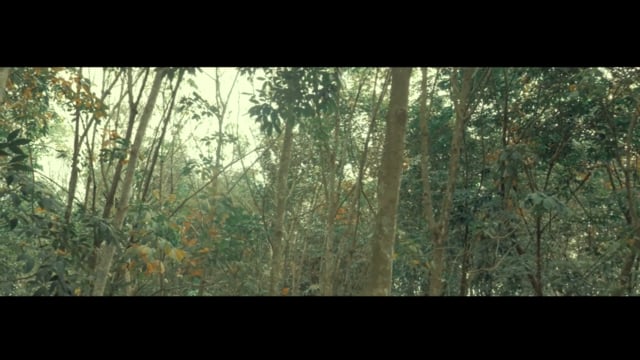 TÉLÉCHARGER SHADO CHRIS FT SERGE BEYNAUD CHRIS BEYNAUD SHADO TÉLÉCHARGER FT SERGE