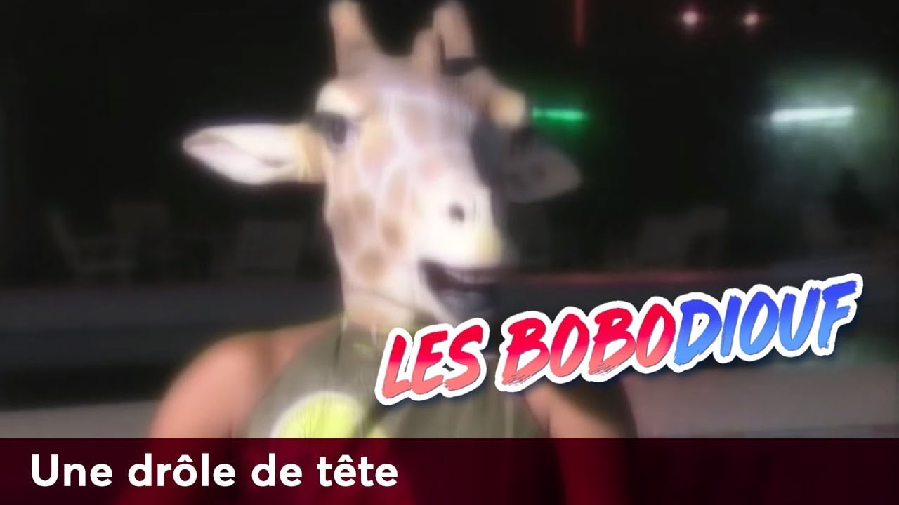 Les Bobodiouf – Une drôle de tête (Saison 1, Episode 7)