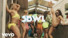 Busiswa feat. Kamo Mphela – SBWL
