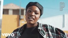 Pongo – Canto