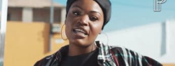 Pongo – Canto