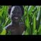 Iri Di – Waymala