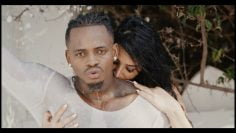 Diamond Platnumz – Naanzaje