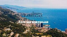 Fabregas Le Métis Noir – Pays de merveilles