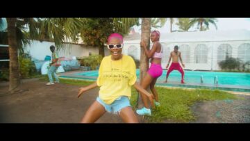 Fabregas le Métis Noir - Robot Nzele Danse Demo