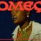 Pongo – Começa