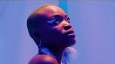 Pongo – Hey Linda