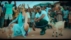 Shado Chris Feat. Innoss’B – Cabri Mort (Remix)