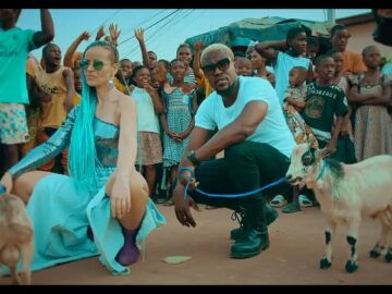 Shado Chris Feat. Innoss'B - Cabri Mort (Remix)