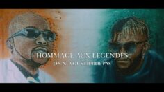 Molare – Boss