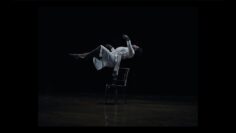 Iri Di – Bardidi
