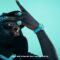 Trois Officiel – IFQCR3