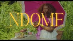 Hen’s – Ndome