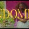Hen’s – Ndome